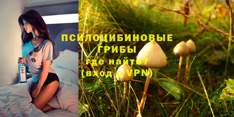 Псилоцибиновые грибы Magic Shrooms  Шелехов 